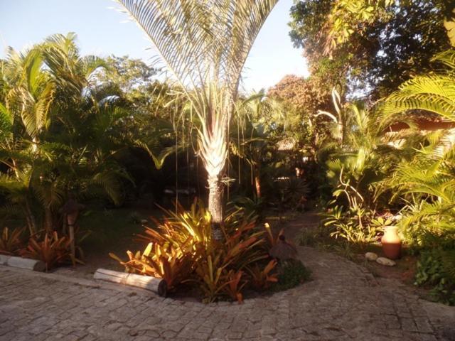 Casa de hóspedes Cor Da Terra 2*