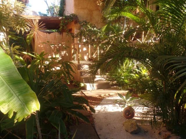 Cor Da Terra Casa de hóspedes 2*